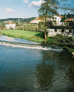 Descida do Bestana 2004